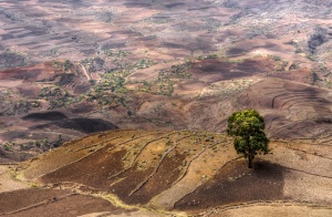 An Ethiopian landscape. 